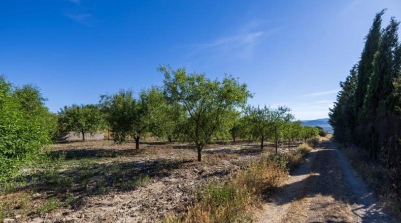 Granada - Dúrcal - 3706m2