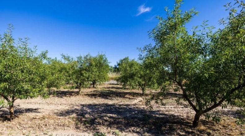 Granada - Dúrcal - 3706m2