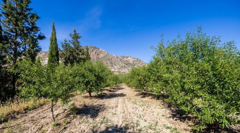Granada - Dúrcal - 3706m2