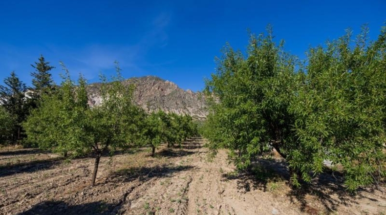 Granada - Dúrcal - 3706m2