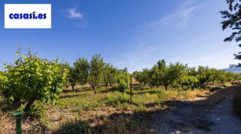 Granada - Dúrcal - 3706m2