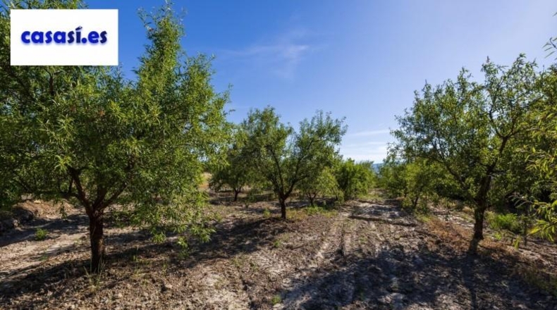 Granada - Dúrcal - 3706m2