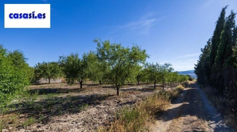 Granada - Dúrcal - 3706m2