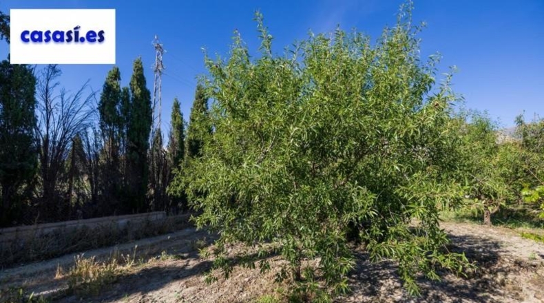 Granada - Dúrcal - 3706m2