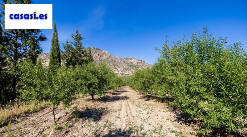 Granada - Dúrcal - 3706m2
