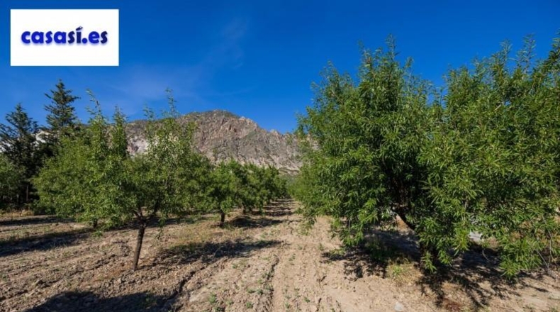 Granada - Dúrcal - 3706m2