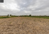 Terreno no urbanizable en venta en la España, Santa Fe, ref: TR409477 foto