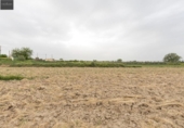 Terreno no urbanizable en venta en la España, Santa Fe, ref: TR409477 foto