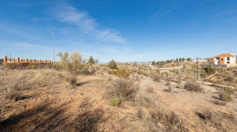 Malaga - Marbella - 510m2