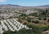 Suelo urbano en venta en la España, Lúcar, ref: TR413107 foto