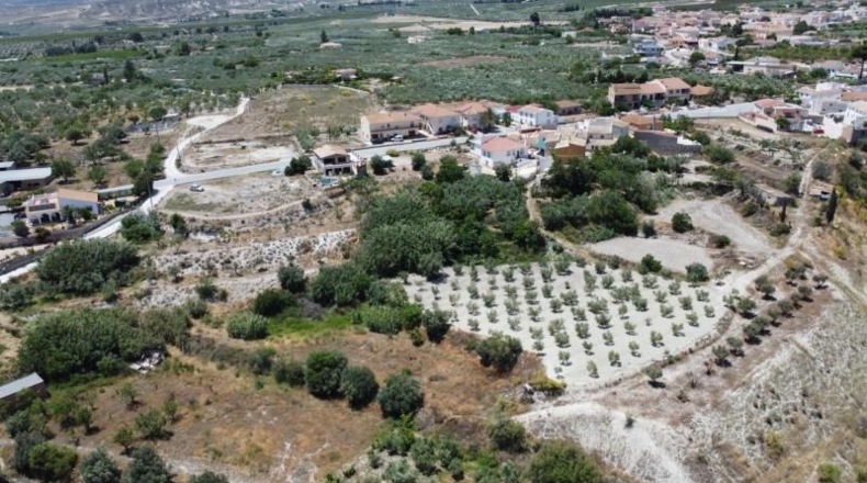 Almería - Lúcar - 10749m2