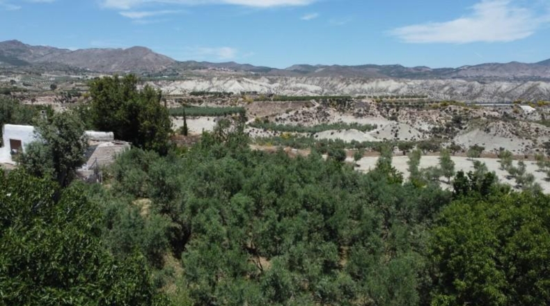 Almería - Lúcar - 10749m2