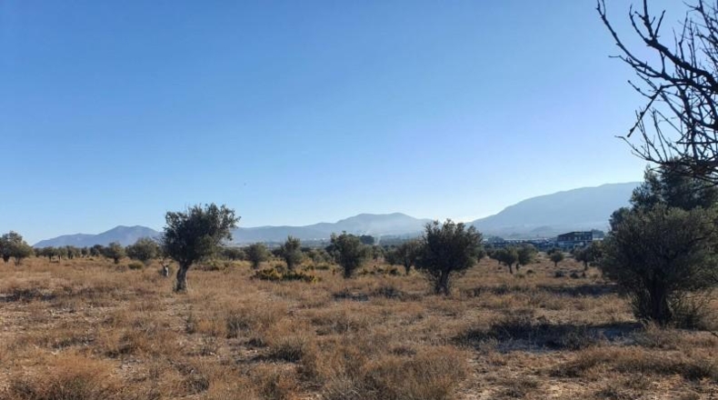 Alicante - Villena - 18832m2