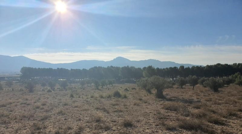 Alicante - Villena - 18832m2