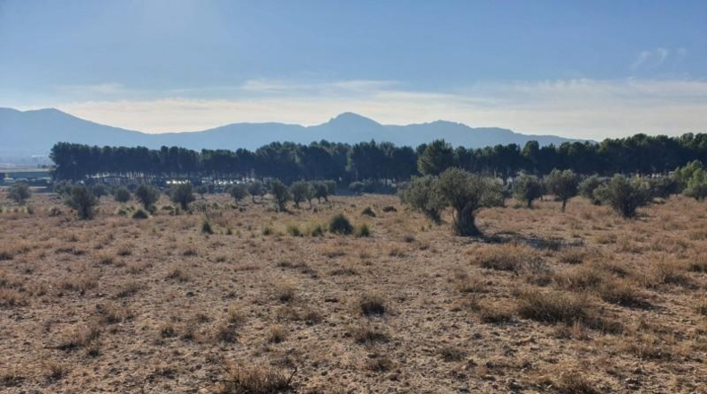 Alicante - Villena - 18832m2