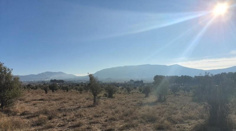 Alicante - Villena - 18832m2