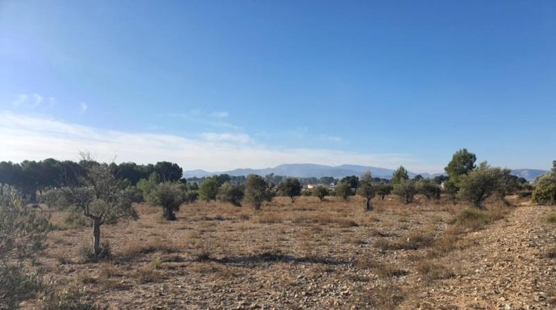 Alicante - Villena - 18832m2