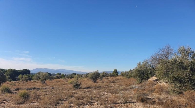 Alicante - Villena - 18832m2