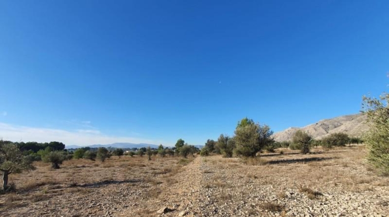 Alicante - Villena - 18832m2