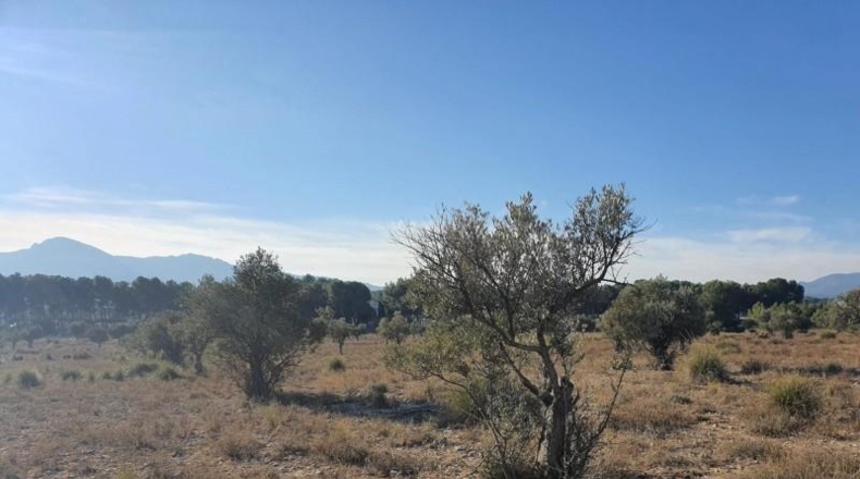 Alicante - Villena - 18832m2