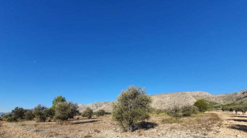 Alicante - Villena - 18832m2