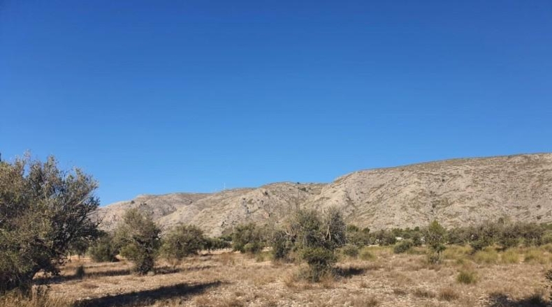 Alicante - Villena - 18832m2