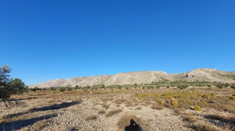 Alicante - Villena - 18832m2