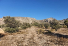 Foto 15