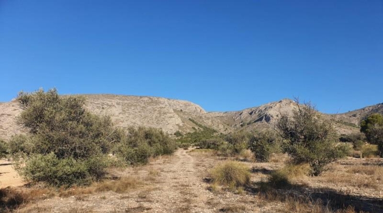 Alicante - Villena - 18832m2