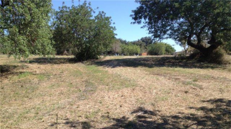 Balearic Islands - Alaró - 2200m2