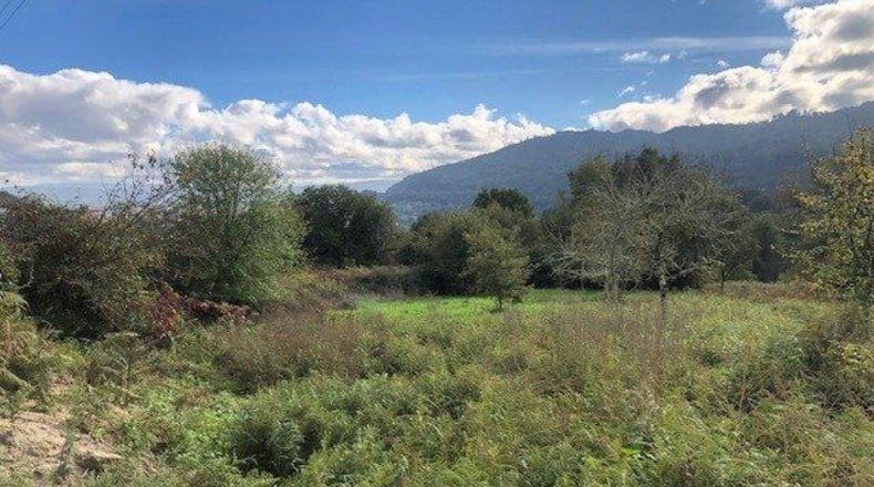 Orense - Orense - 1120m2
