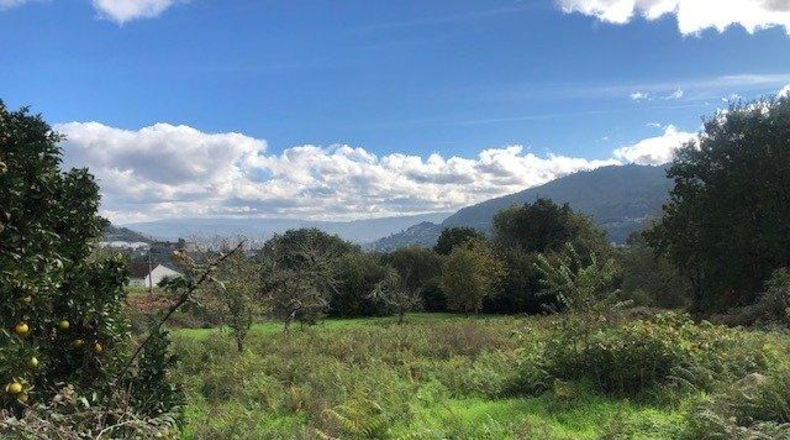 Orense - Orense - 1120m2