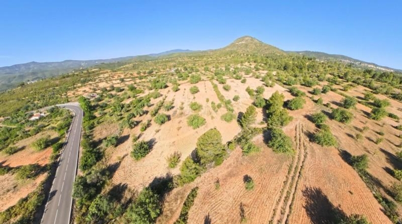 València - Macastre - 13695m2