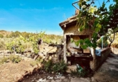 Chalet independiente con terreno en venta en la España, Calaceite, ref: TR413113 foto
