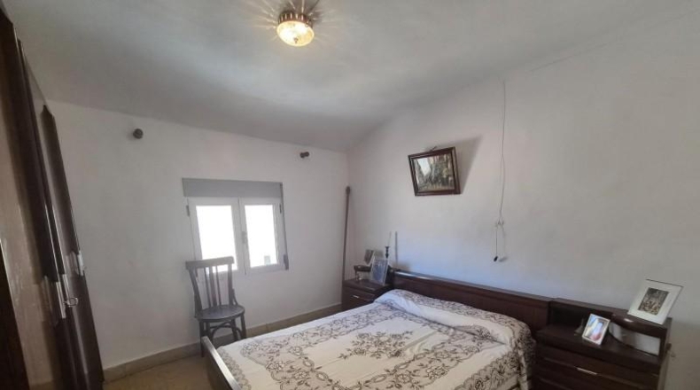 València - Aras de Olmos - 273m2