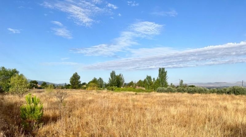 Alicante - Villena - 10920m2