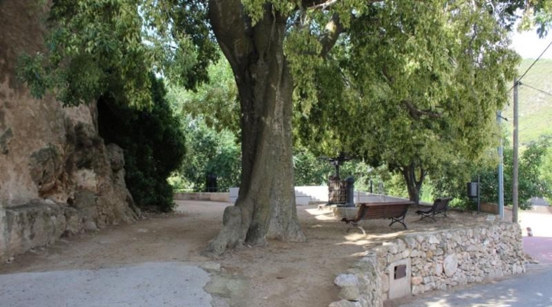 Tarragona - la Joncosa del Montmell - 1800m2