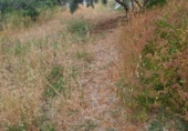 Non-developable land for sale on España, Alhaurín el Grande, ref: TR413122 photo