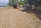 Non-developable land for sale on España, Alhaurín el Grande, ref: TR413122 photo
