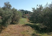 Non-developable land for sale on España, Alhaurín el Grande, ref: TR413122 photo