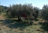 Non-developable land for sale on España, Alhaurín el Grande, ref: TR413122 photo