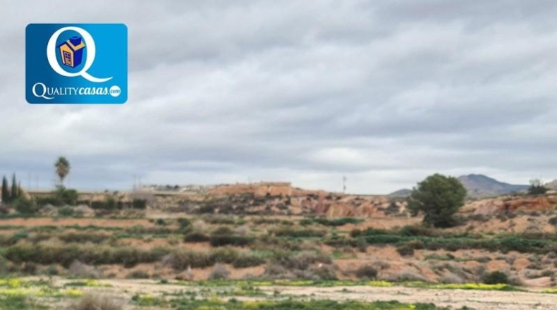 Alicante - Novelda - 43000m2