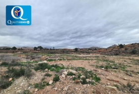 Novelda 43000&nbsp;m²