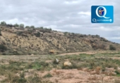 Terreno no urbanizable en venta en la España, Novelda, ref: TR379464 foto