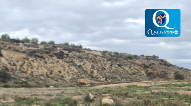 Alicante - Novelda - 43000m2