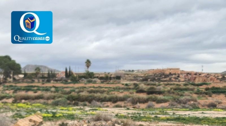 Alicante - Novelda - 43000m2