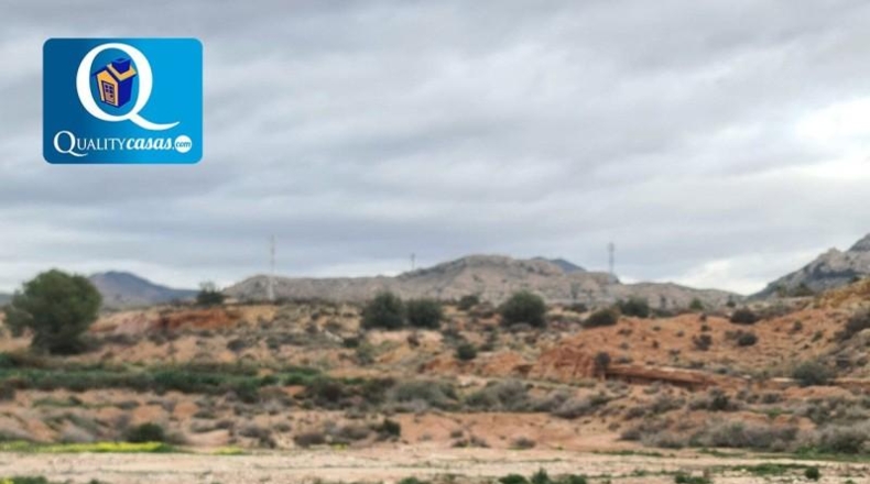 Alicante - Novelda - 43000m2