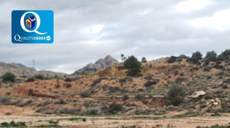 Alicante - Novelda - 43000m2
