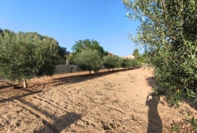 Montferri 888&nbsp;m²