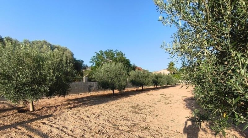 Tarragona - Montferri - 888m2